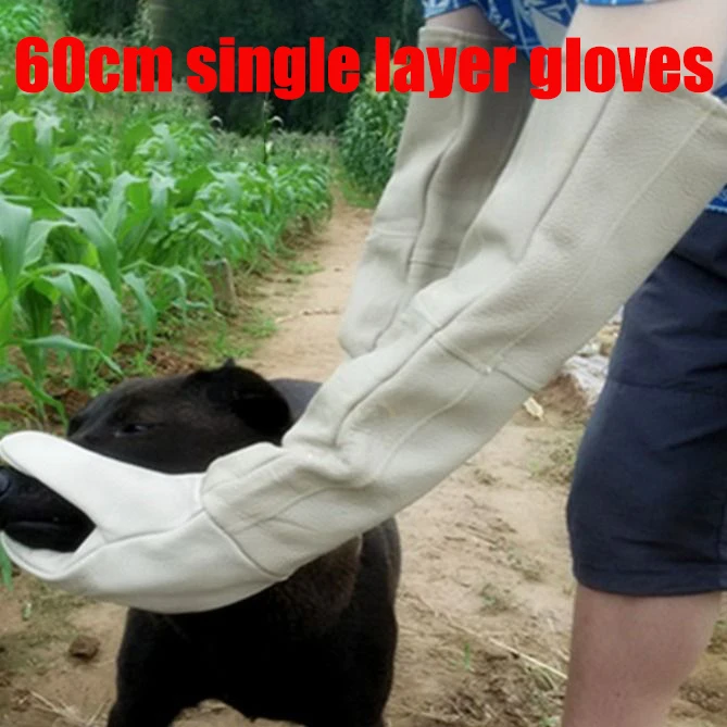 Guantes para perros y gatos resistentes a mordeduras y arañazos, protección para el manejo de animales, tendones fuertes, baño de animales, suministros de aseo impermeables - Imagen 7