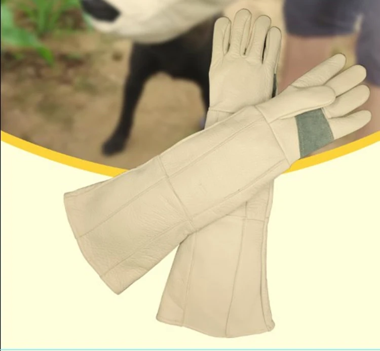 Guantes para perros y gatos resistentes a mordeduras y arañazos, protección para el manejo de animales, tendones fuertes, baño de animales, suministros de aseo impermeables - Imagen 11