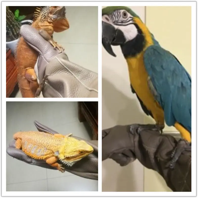 Guantes para perros y gatos resistentes a mordeduras y arañazos, protección para el manejo de animales, tendones fuertes, baño de animales, suministros de aseo impermeables - Imagen 6