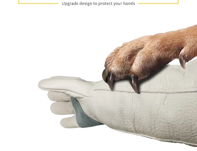 Guantes para perros y gatos resistentes a mordeduras y arañazos, protección para el manejo de animales, tendones fuertes, baño de animales, suministros de aseo impermeables - Imagen 12