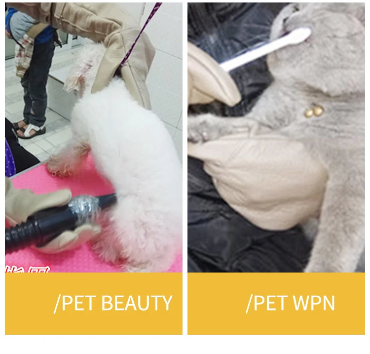 Guantes para perros y gatos resistentes a mordeduras y arañazos, protección para el manejo de animales, tendones fuertes, baño de animales, suministros de aseo impermeables - Imagen 16
