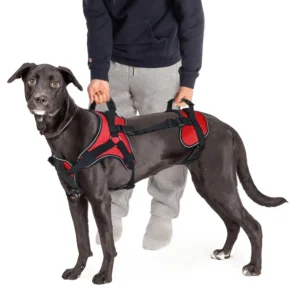 Arnes grande para perros con sistema de elevacion