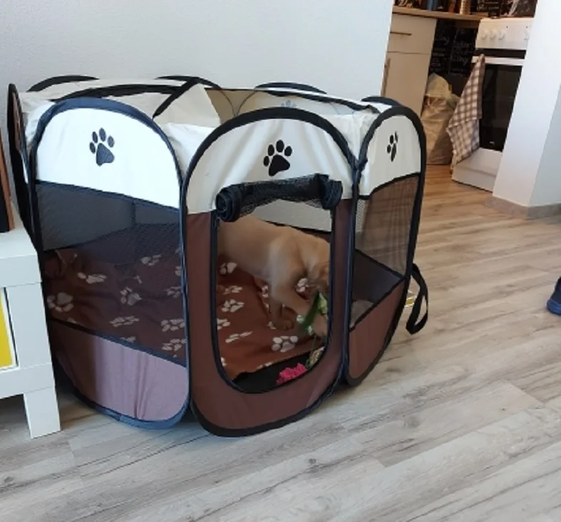 Tienda de campaña desmontable para mascotas de verano, tamaño S/M/L, para sala de partos de gatos, cama para perros al aire libre - Imagen 30