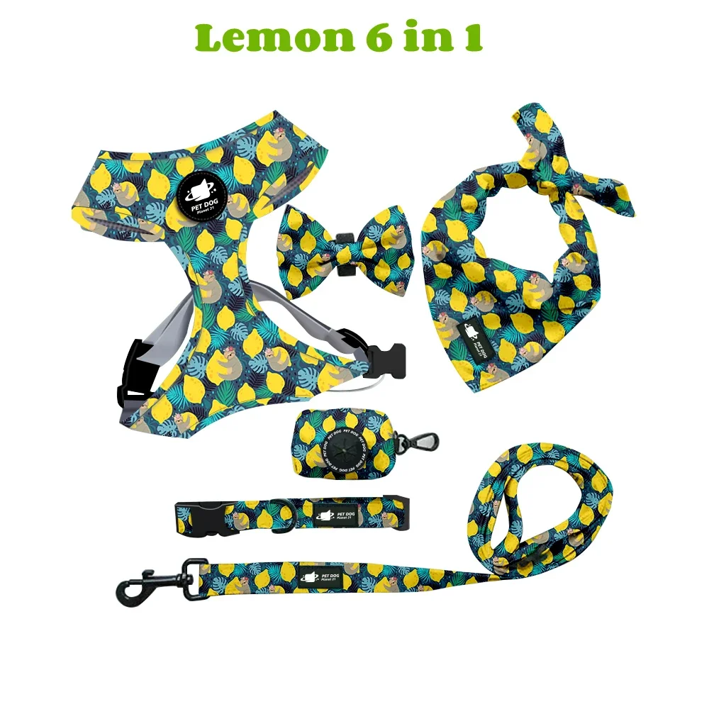 Conjunto de arnés para perros que incluye chaleco, arnés, collar, correa, pañuelo, bufanda, bolsa para excrementos y accesorios para mascotas (gatos y perros). - Imagen 7