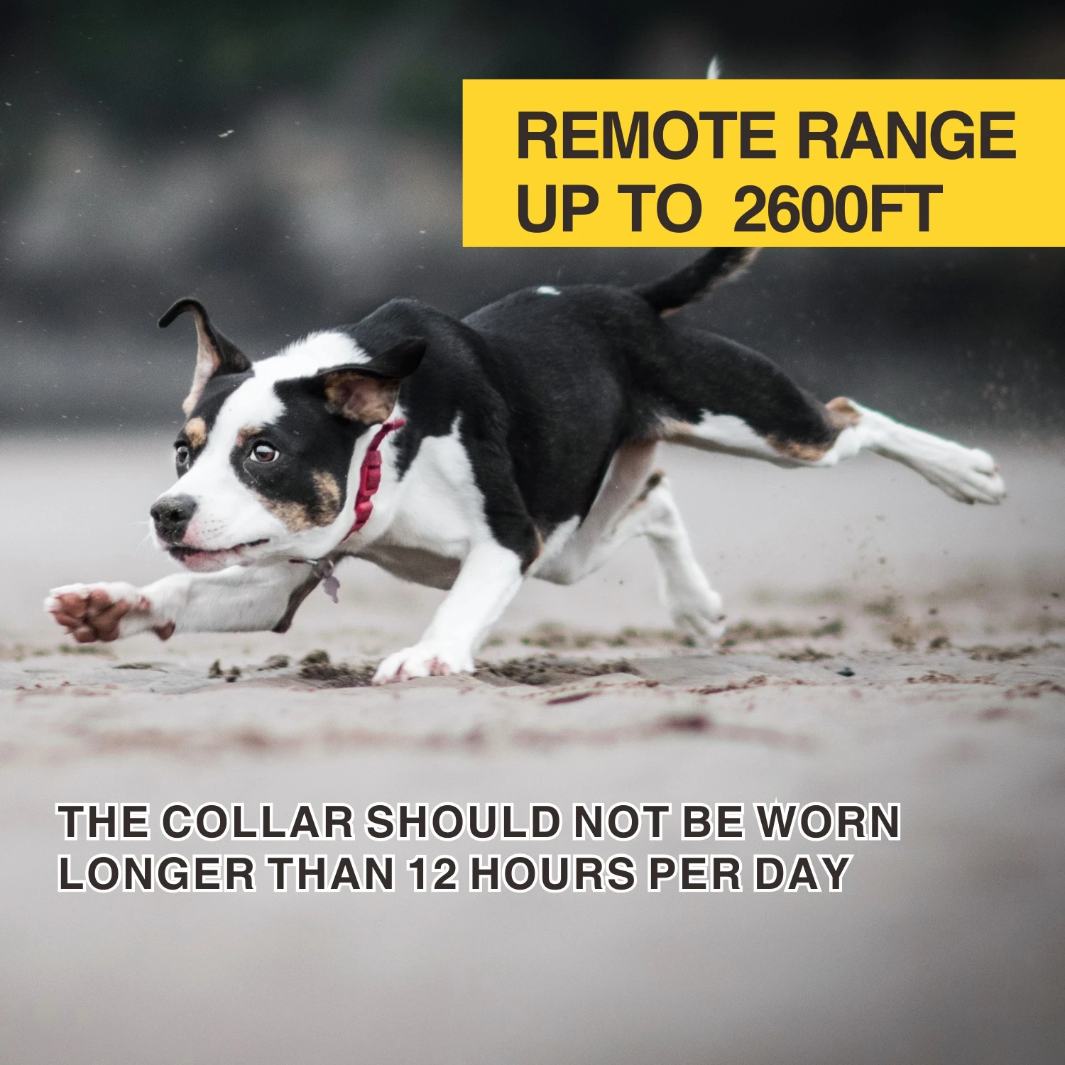Collar antiladridos 2 en 1 para adiestramiento canino, collar antiladridos recargable de 800 m, collar eléctrico para perros con control remoto, resistente al agua. - Imagen 6