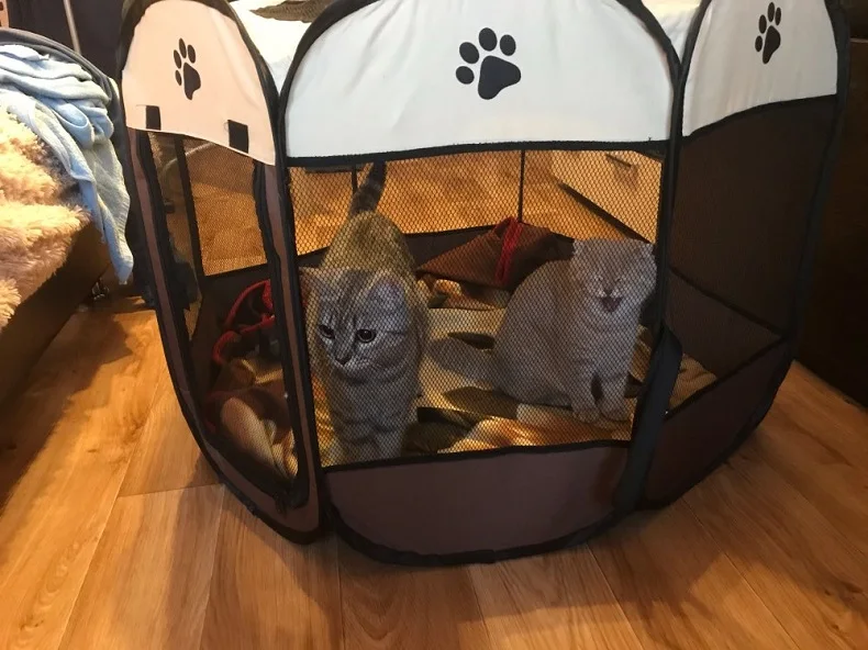 Tienda de campaña desmontable para mascotas de verano, tamaño S/M/L, para sala de partos de gatos, cama para perros al aire libre - Imagen 28