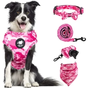 Conjunto de arnés para perros que incluye chaleco, arnés, collar, correa, pañuelo, bufanda, bolsa para excrementos y accesorios para mascotas (gatos y perros).