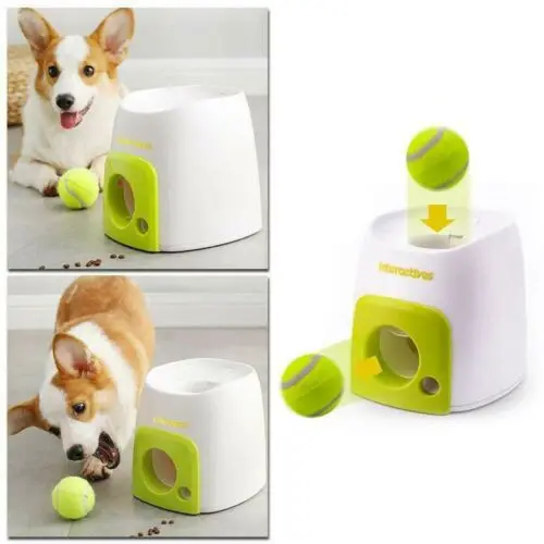 Lanzador automático inteligente de pelotas para perros con recompensa de comida - Imagen 16