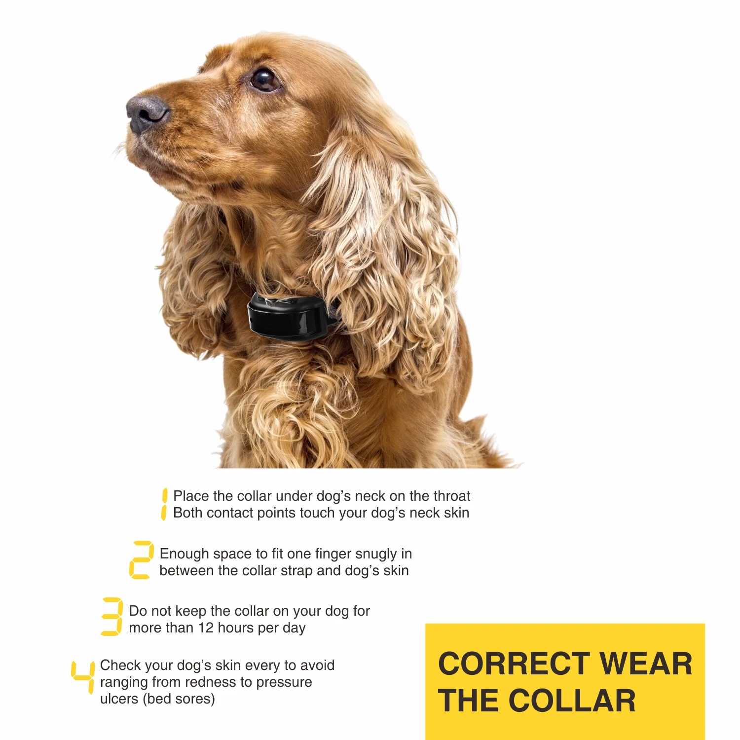 Collar antiladridos 2 en 1 para adiestramiento canino, collar antiladridos recargable de 800 m, collar eléctrico para perros con control remoto, resistente al agua. - Imagen 19